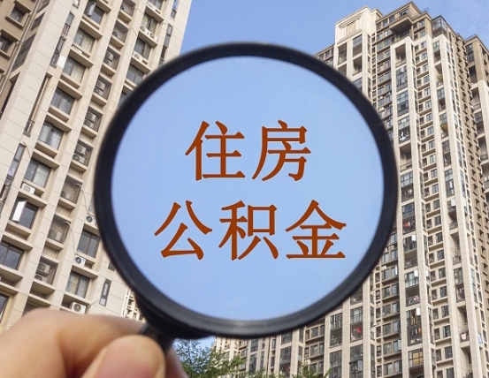 黄南退休后查不到公积金明细了吗（退休后公积金查询不到原因）